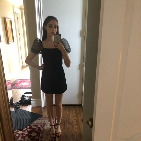 Meet your Posher, Chloe - Picture 5 of 8